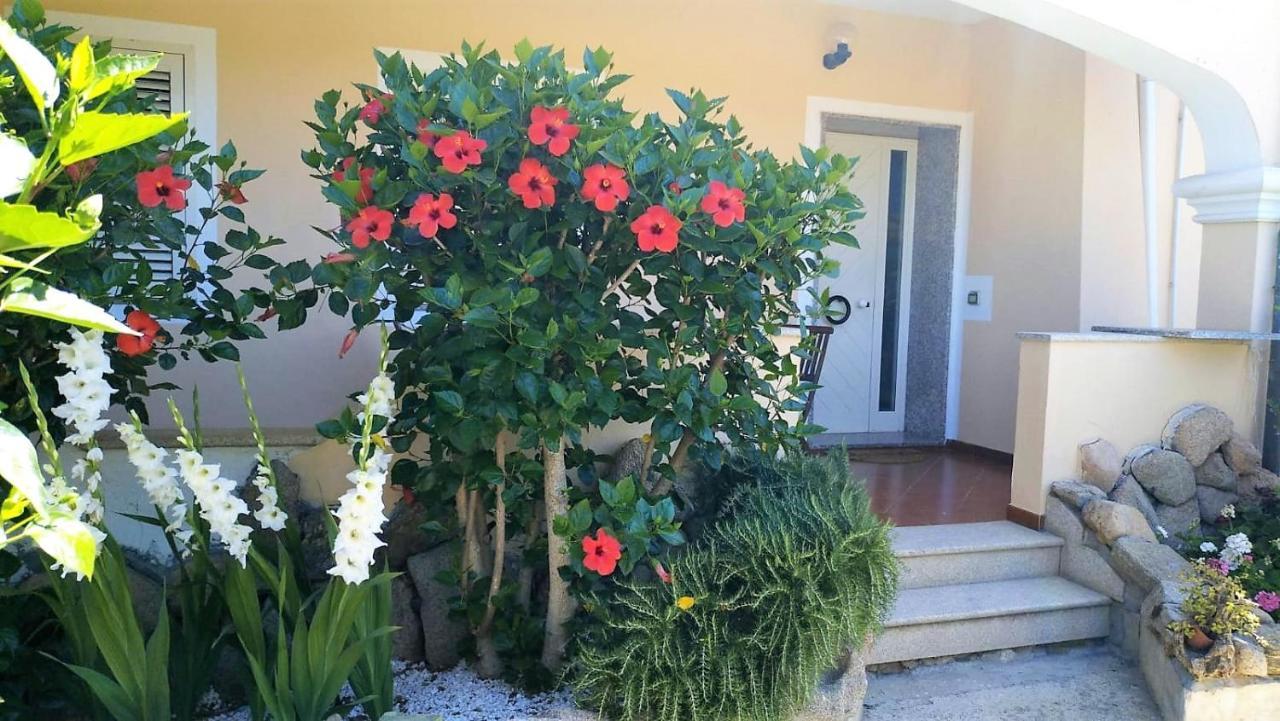 Casa Dolce Hibiscus Διαμέρισμα Όλμπια Εξωτερικό φωτογραφία