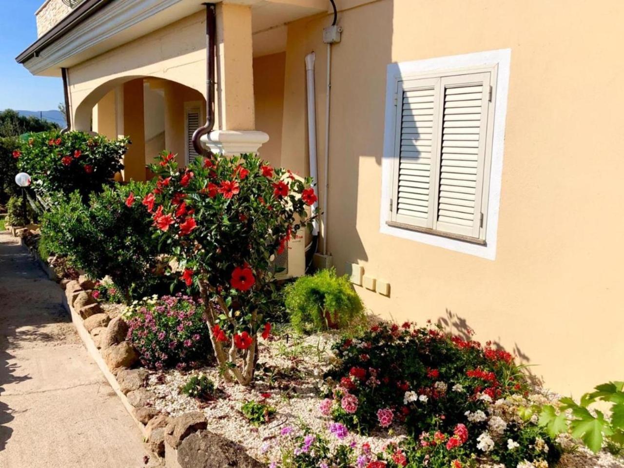 Casa Dolce Hibiscus Διαμέρισμα Όλμπια Εξωτερικό φωτογραφία