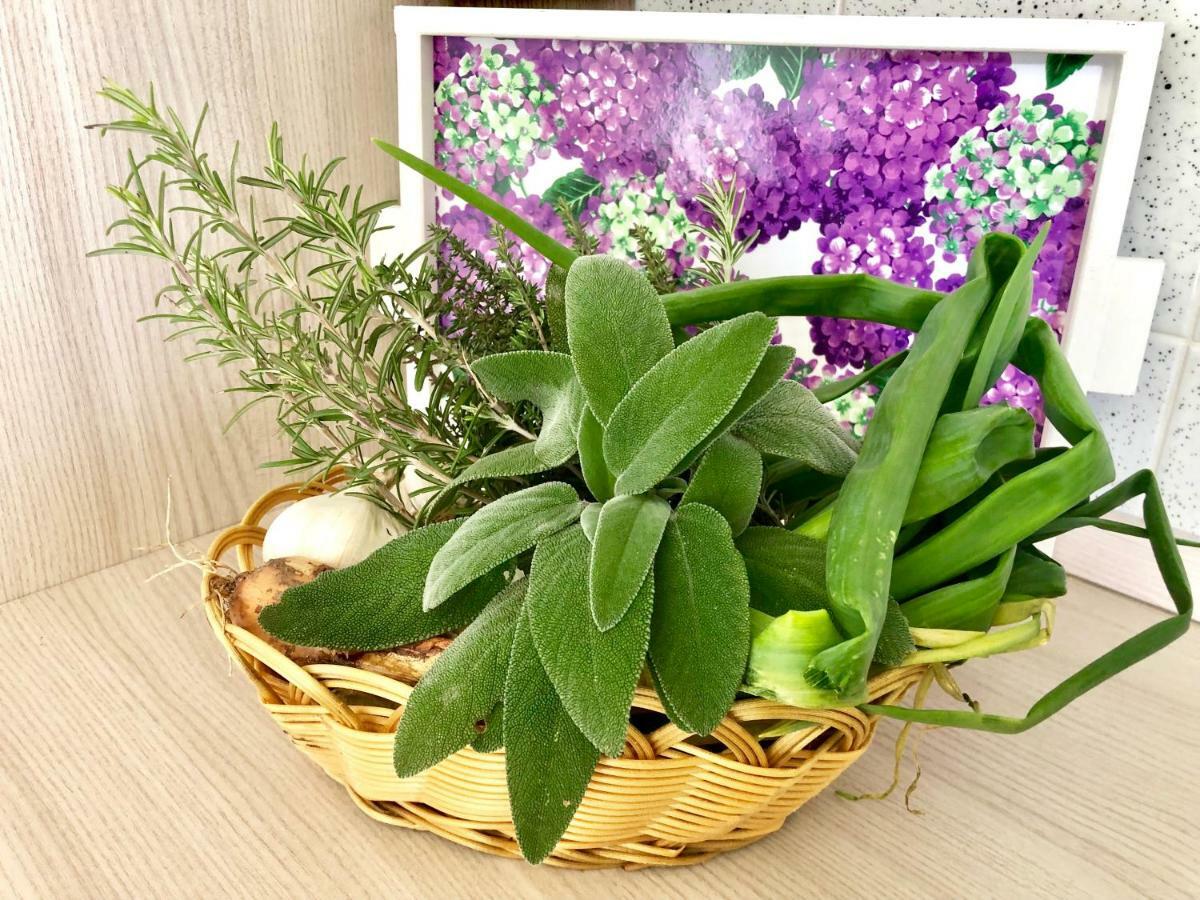 Casa Dolce Hibiscus Διαμέρισμα Όλμπια Εξωτερικό φωτογραφία