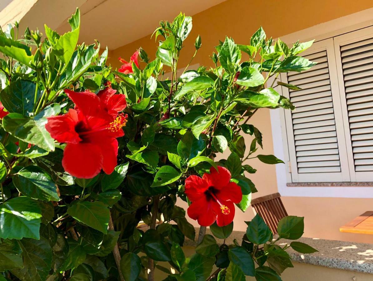 Casa Dolce Hibiscus Διαμέρισμα Όλμπια Εξωτερικό φωτογραφία